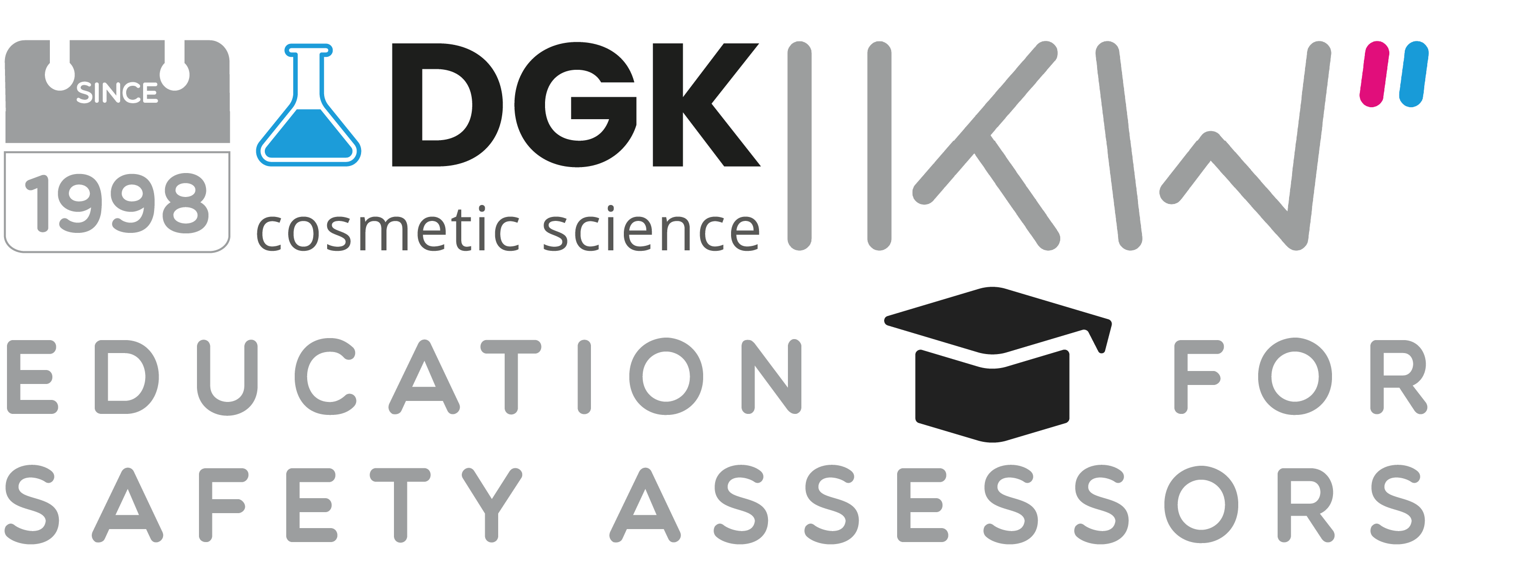 Safety Assessor